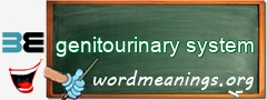 WordMeaning blackboard for genitourinary system
